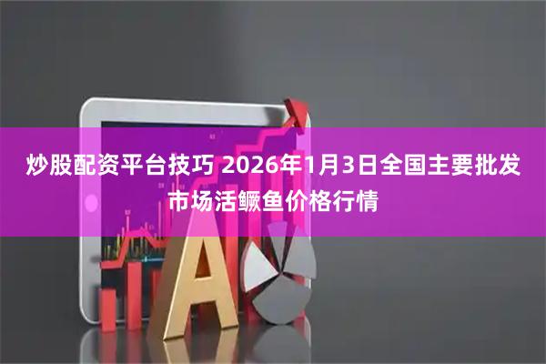 炒股配资平台技巧 2026年1月3日全国主要批发市场活鳜鱼价格行情